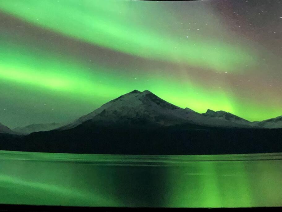 Northern Light Tromso Exterior photo